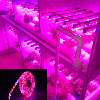 LED-uri Cresc de lumină întregul Spectru 5M Banda LED 5050 lumina LED-uri de Flori de Plante Fito Creștere lămpi cu efect De Seră Hidroponică a Plantelor în Creștere
