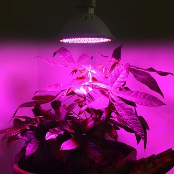 Full Spectrum LED-uri Cresc Lampa 200 LED Lumina pentru Plante Cresc de Lumină Roșie LED Albastru pentru Plante Floare de Creștere Bec