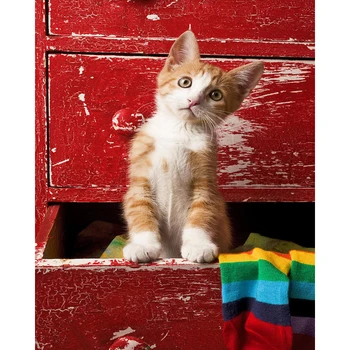 DIY Pictura De Numere Cat Sertar Kit de Ulei Imagine De Numere, Animale, Arta de Perete Pictura pe Panza Acasă Decorare Cadou