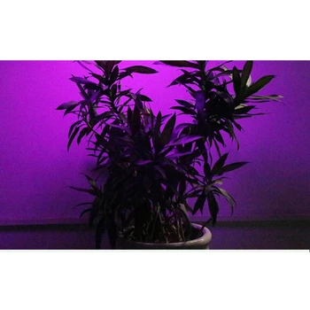 Full Spectrum LED-uri Cresc Lampa 200 LED Lumina pentru Plante Cresc de Lumină Roșie LED Albastru pentru Plante Floare de Creștere Bec